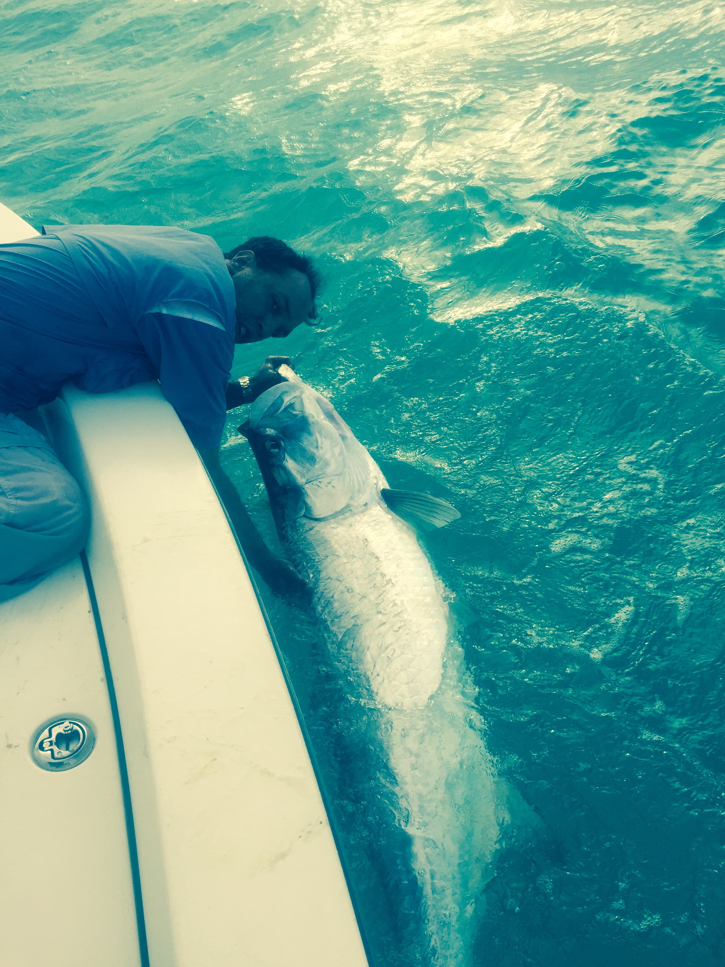 A large tarpon alongside the boat in green water